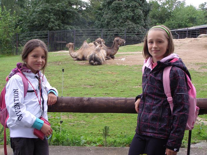 ZOO